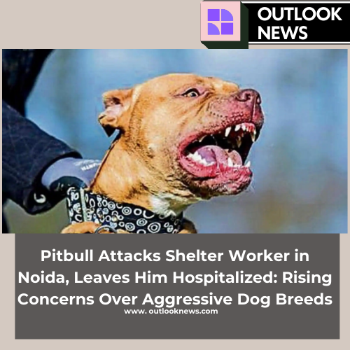 Pitbull Attacks Shelter Worker in Noida, Leaves Him Hospitalized Rising Concerns Over Aggressive Dog Breeds