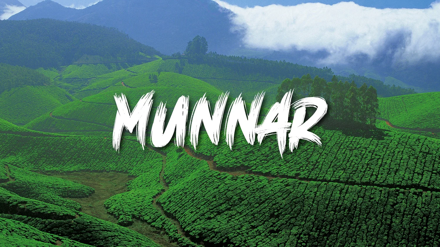 # Munnar’s Tourism Boom Challenges Its Natural Balance