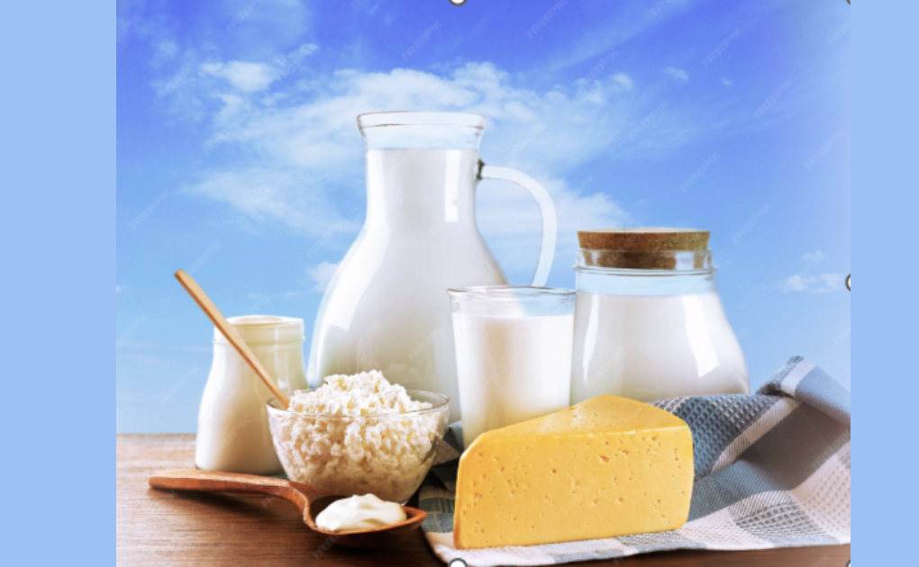 From Farm to Five-Star: How Arna Dairy Powers Karnataka’s Hospitality Industry