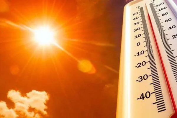 IMD Issues Heatwave Alert in Kerala; 12 Districts Under Yellow Warning