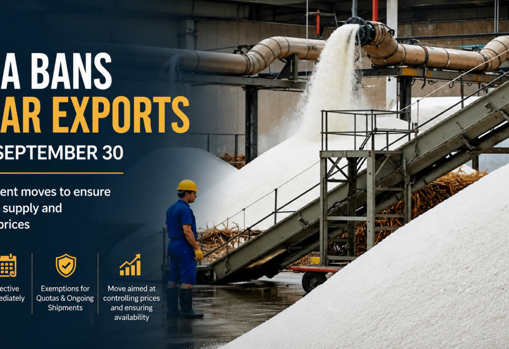 India Bans Sugar Exports Until September to Stabilise Domestic Supply and Prices